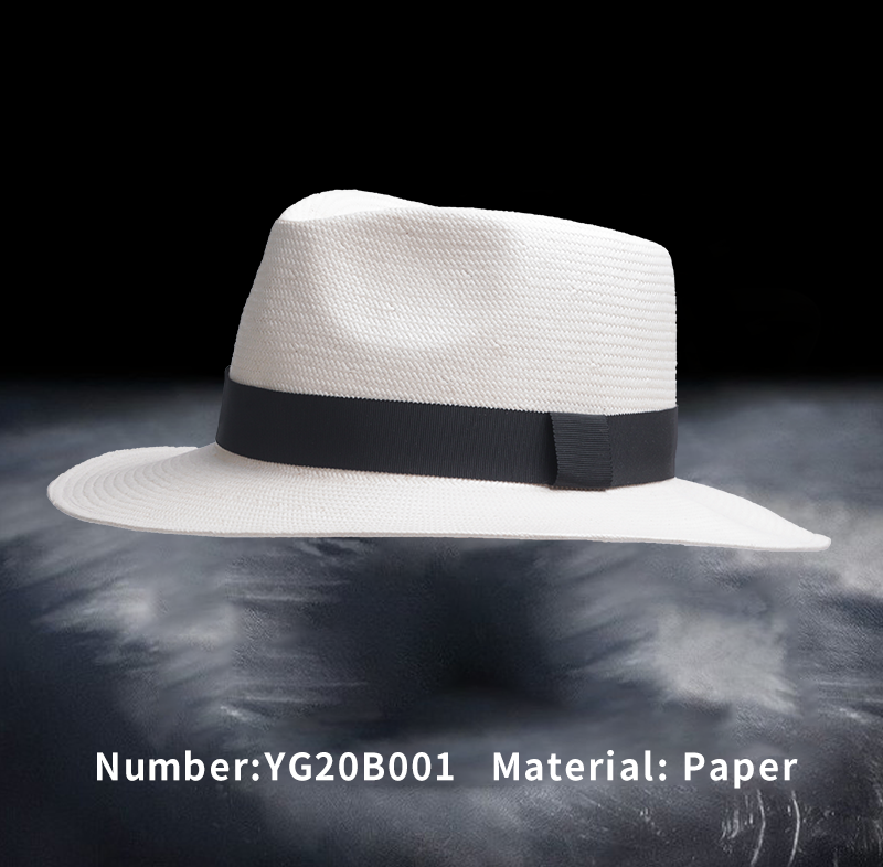 巢湖纸帽(YG20B001)