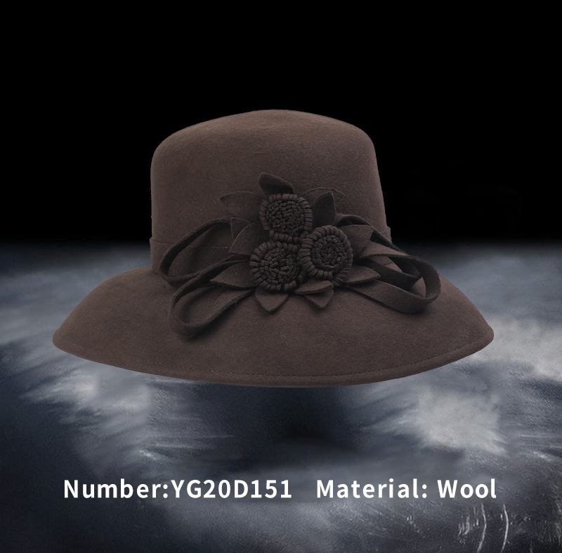 淮北羊毛帽(YG20D151)