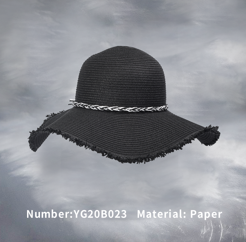 巢湖纸帽(YG20B023)