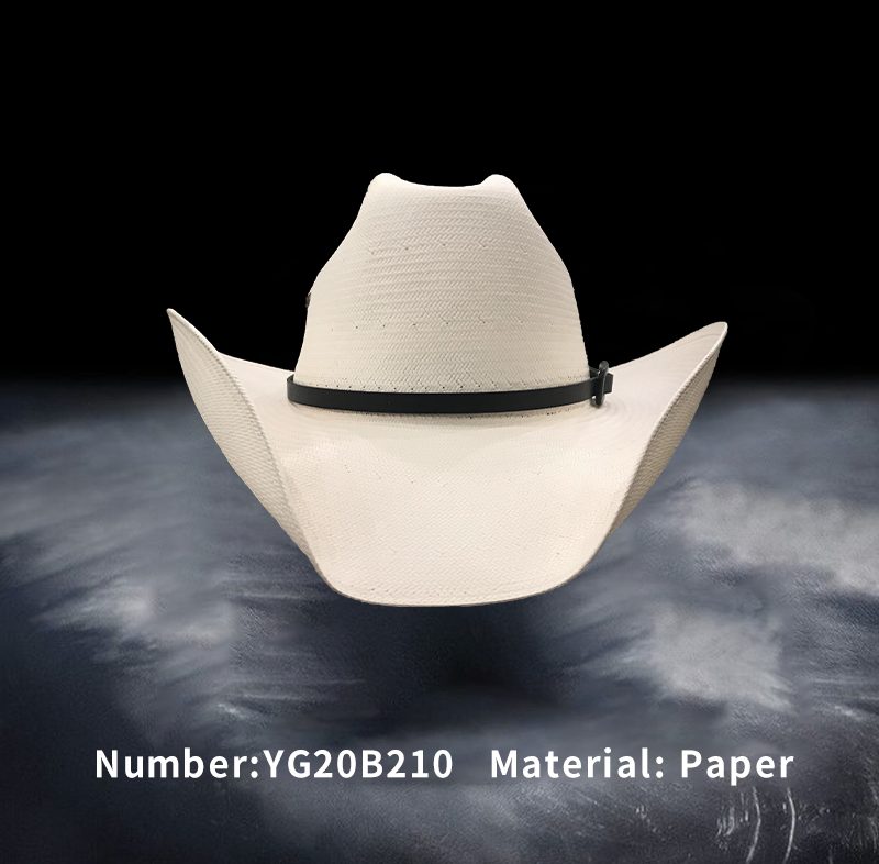 巢湖纸帽(YG20B210)